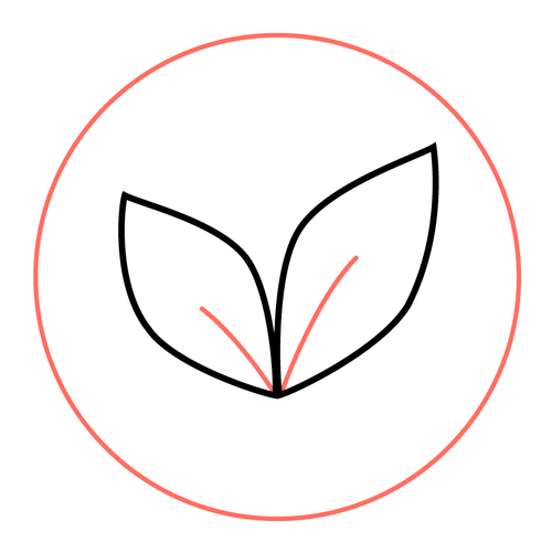 Vegan, cruelty-free lipstick